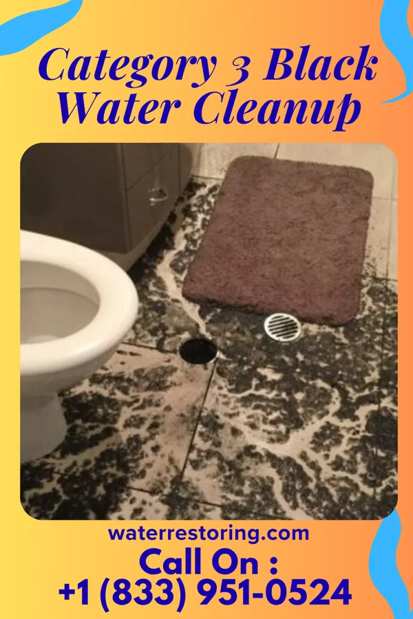 Category 3 Black Water Cleanup in Penn Farms, PA