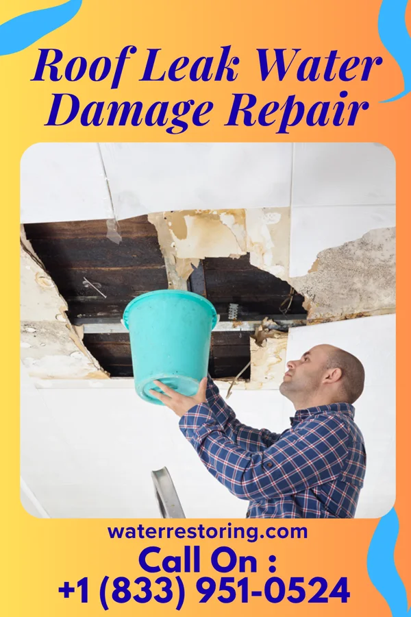 Roof Leak Water Damage Repair in Penn Farms, PA