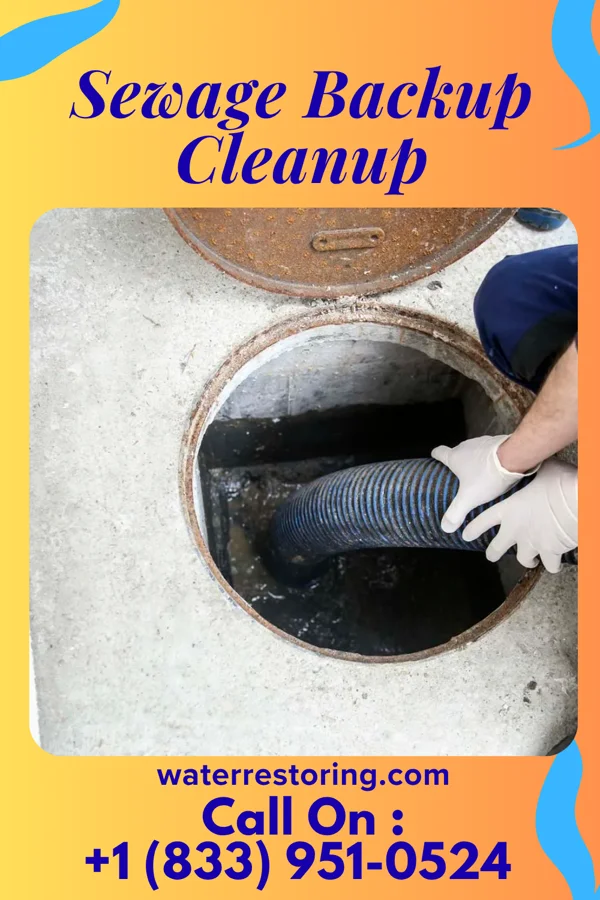 Sewage Backup Cleanup in Penn Farms, PA